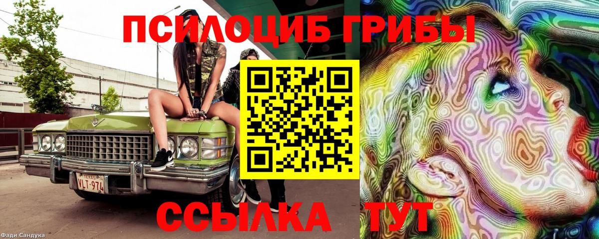 Псилоцибиновые грибы MAGIC MUSHROOMS  Вход с VPN  Гурьевск  Псилоцибиновые грибы Psilocybine cubensis 