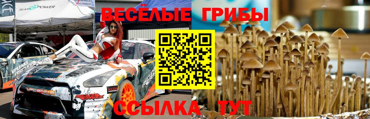 Псилоцибиновые грибы мицелий Гурьевск