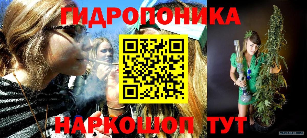 Шишки марихуана конопля  Вход с VPN  МАРИХУАНА план  Гурьевск  МАРИХУАНА AK-47 